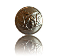 Bouton PN